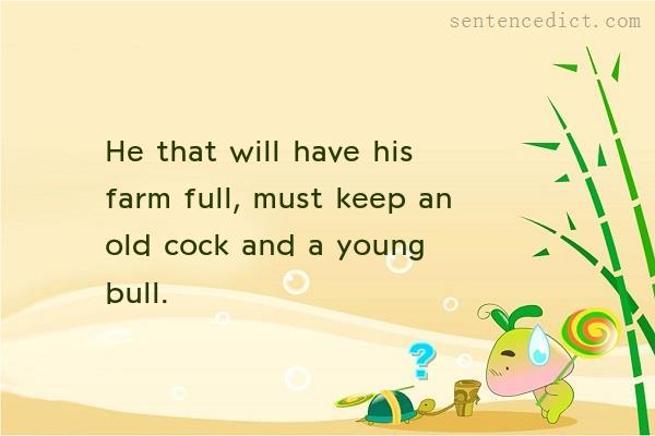 Good sentence's beautiful picture_He that will have his farm full, must keep an old cock and a young bull.