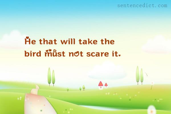 Good sentence's beautiful picture_He that will take the bird must not scare it.