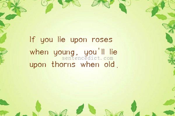 Good sentence's beautiful picture_If you lie upon roses when young, you'll lie upon thorns when old.