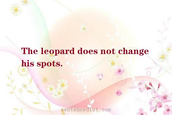Good sentence's beautiful picture_The leopard does not change his spots.