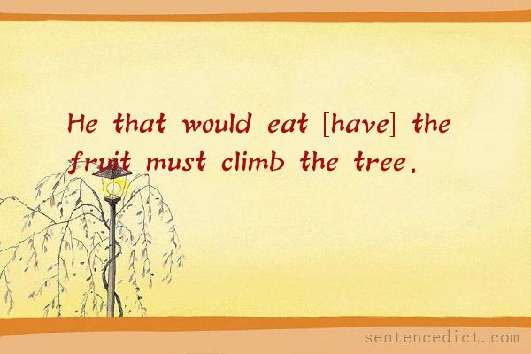Good sentence's beautiful picture_He that would eat [have] the fruit must climb the tree.