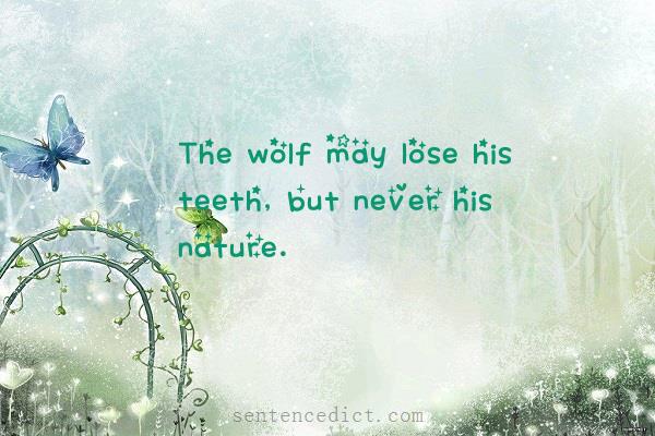 Good sentence's beautiful picture_The wolf may lose his teeth, but never his nature.