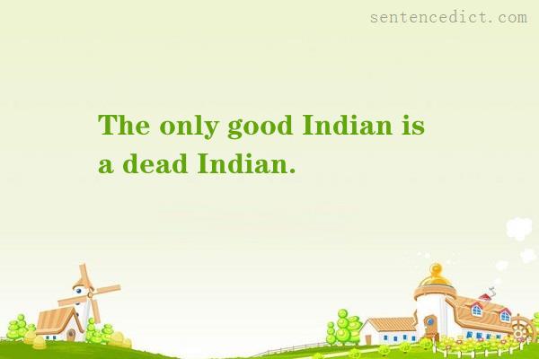 Good sentence's beautiful picture_The only good Indian is a dead Indian.