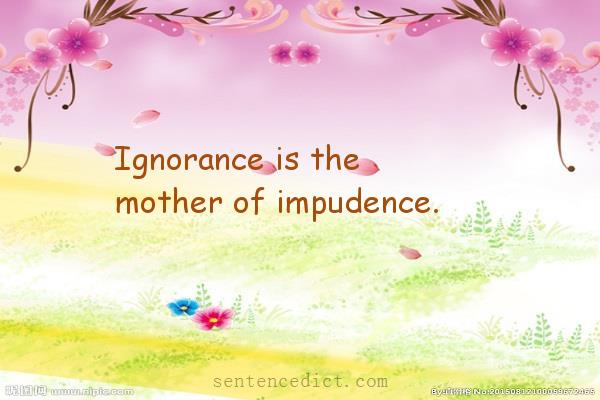 Good sentence's beautiful picture_Ignorance is the mother of impudence.