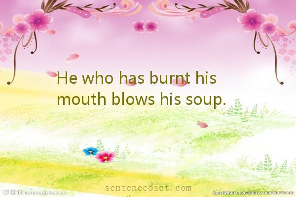 Good sentence's beautiful picture_He who has burnt his mouth blows his soup.