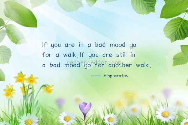 Good sentence's beautiful picture_If you are in a bad mood go for a walk.If you are still in a bad mood go for another walk.