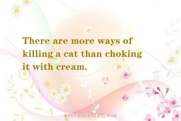 Good sentence's beautiful picture_There are more ways of killing a cat than choking it with cream.