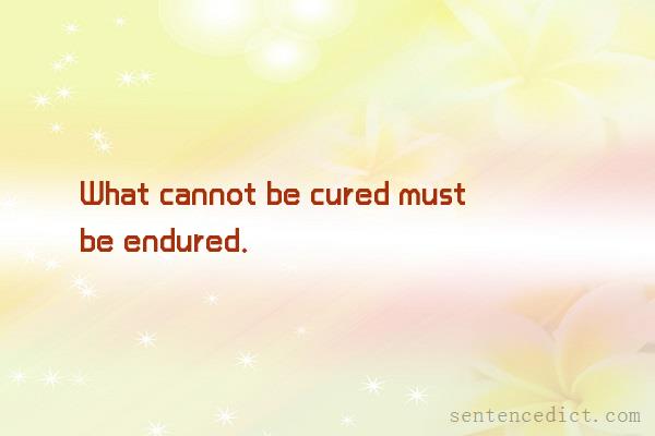 Good sentence's beautiful picture_What cannot be cured must be endured.