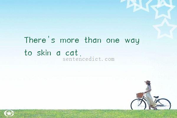 Good sentence's beautiful picture_There's more than one way to skin a cat.
