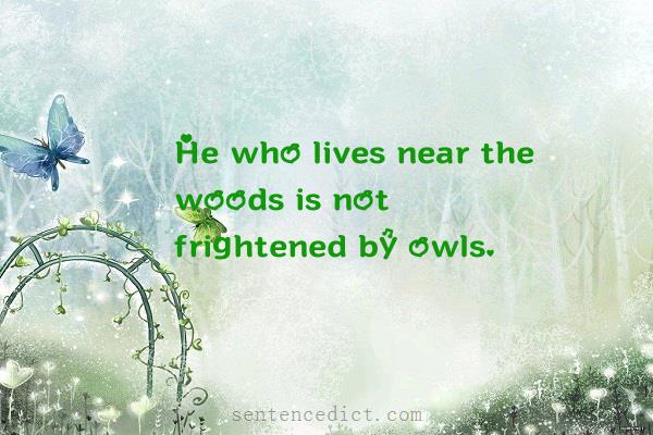 Good sentence's beautiful picture_He who lives near the woods is not frightened by owls.