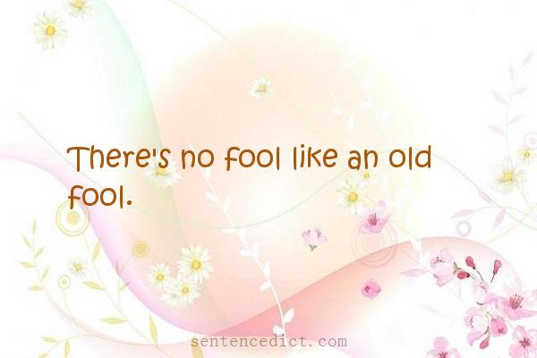 Good sentence's beautiful picture_There's no fool like an old fool.