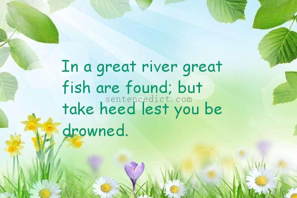 Good sentence's beautiful picture_In a great river great fish are found; but take heed lest you be drowned.