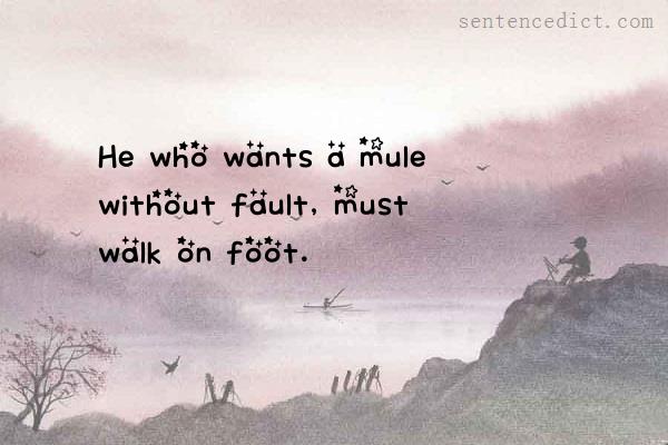 Good sentence's beautiful picture_He who wants a mule without fault, must walk on foot.