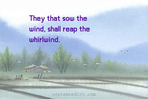 Good sentence's beautiful picture_They that sow the wind, shall reap the whirlwind.