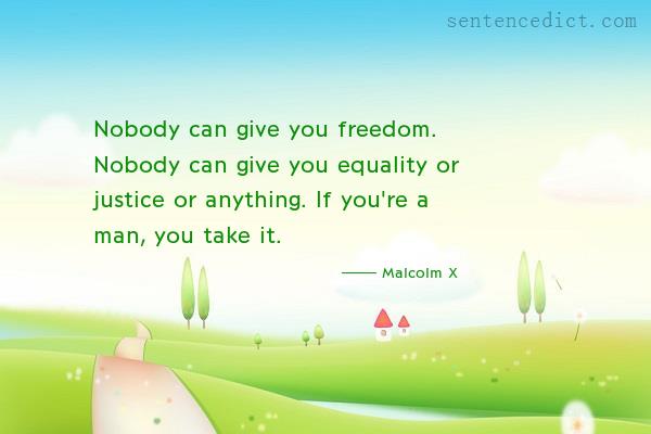 Good sentence's beautiful picture_Nobody can give you freedom. Nobody can give you equality or justice or anything. If you're a man, you take it.