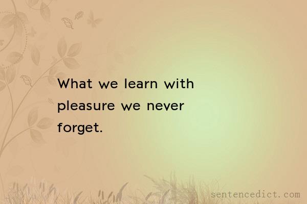 Good sentence's beautiful picture_What we learn with pleasure we never forget.