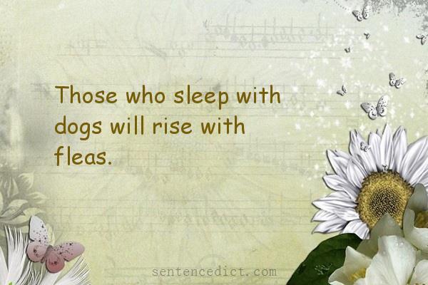 Good sentence's beautiful picture_Those who sleep with dogs will rise with fleas.