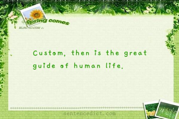 Good sentence's beautiful picture_Custom, then is the great guide of human life.
