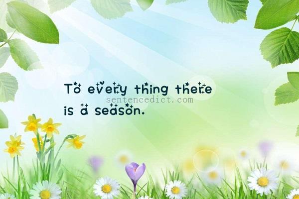 Good sentence's beautiful picture_To every thing there is a season.