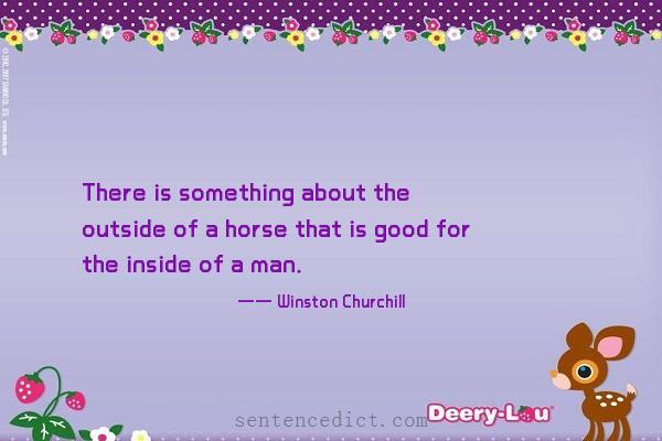 Good sentence's beautiful picture_There is something about the outside of a horse that is good for the inside of a man.