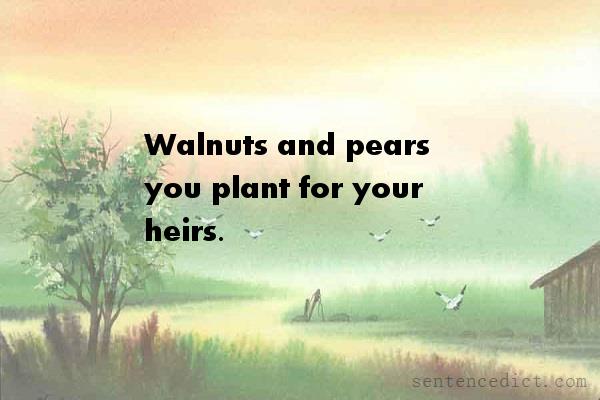 Good sentence's beautiful picture_Walnuts and pears you plant for your heirs.