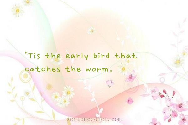 Good sentence's beautiful picture_’Tis the early bird that catches the worm.