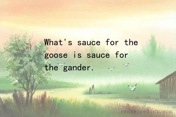 Good sentence's beautiful picture_What's sauce for the goose is sauce for the gander.