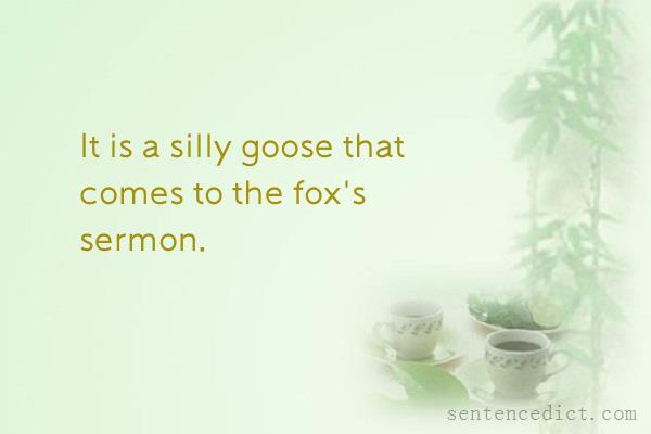 Good sentence's beautiful picture_It is a silly goose that comes to the fox's sermon.