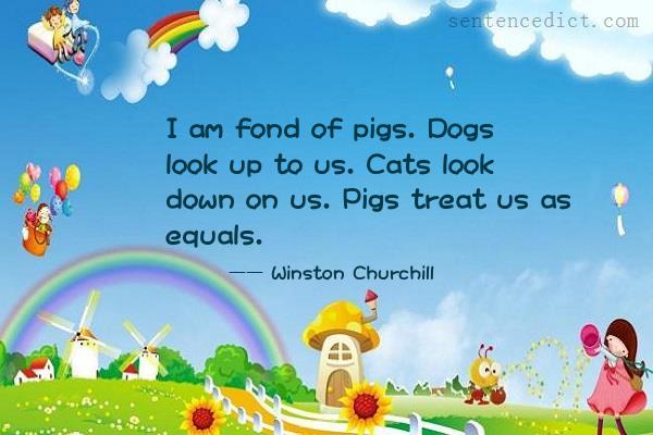Good sentence's beautiful picture_I am fond of pigs. Dogs look up to us. Cats look down on us. Pigs treat us as equals.