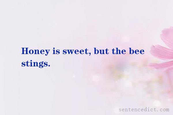 Good sentence's beautiful picture_Honey is sweet, but the bee stings.