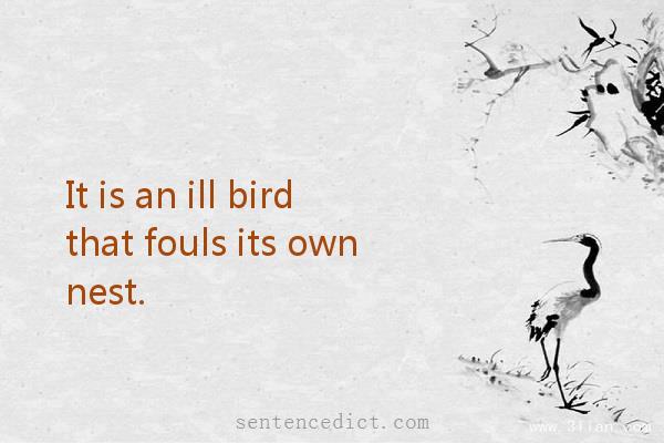 Good sentence's beautiful picture_It is an ill bird that fouls its own nest.