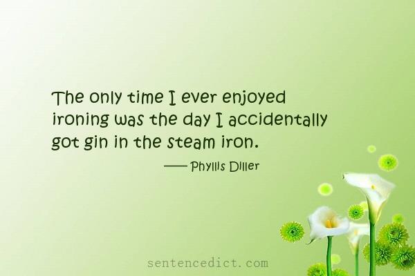 Good sentence's beautiful picture_The only time I ever enjoyed ironing was the day I accidentally got gin in the steam iron.