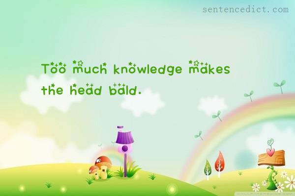 Good sentence's beautiful picture_Too much knowledge makes the head bald.