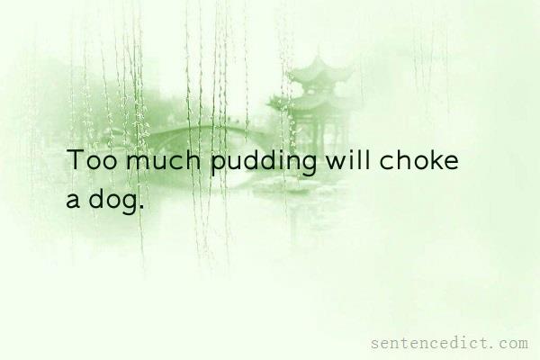 Good sentence's beautiful picture_Too much pudding will choke a dog.