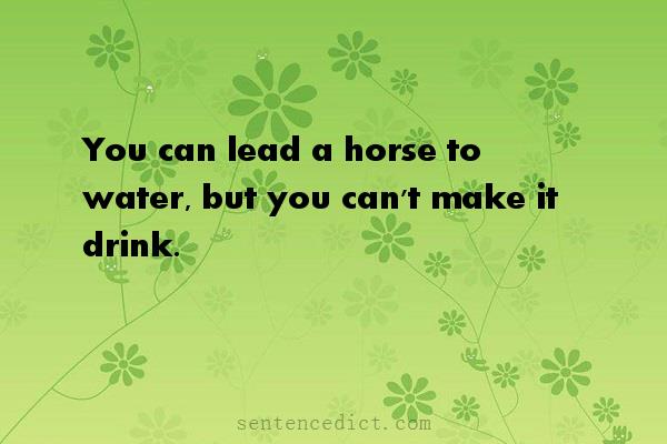 Good sentence's beautiful picture_You can lead a horse to water, but you can't make it drink.