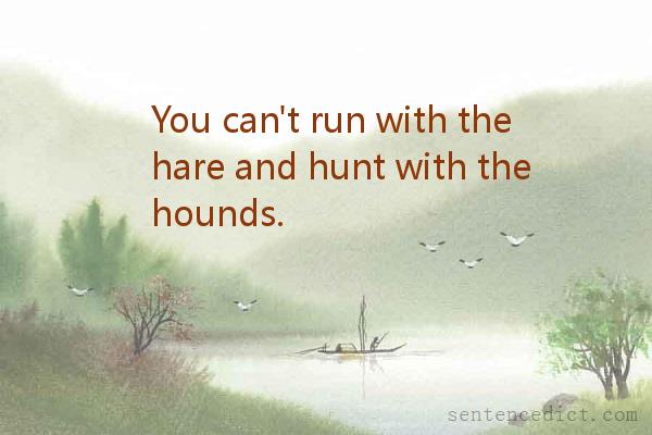 Good sentence's beautiful picture_You can't run with the hare and hunt with the hounds.