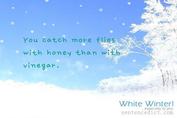 Good sentence's beautiful picture_You catch more flies with honey than with vinegar.