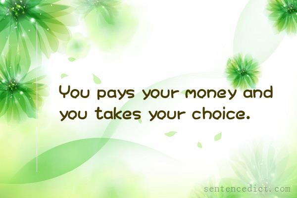 Good sentence's beautiful picture_You pays your money and you takes your choice.