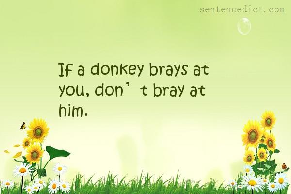 Good sentence's beautiful picture_If a donkey brays at you, don’t bray at him.