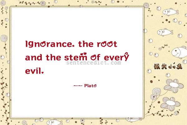 Good sentence's beautiful picture_Ignorance, the root and the stem of every evil.