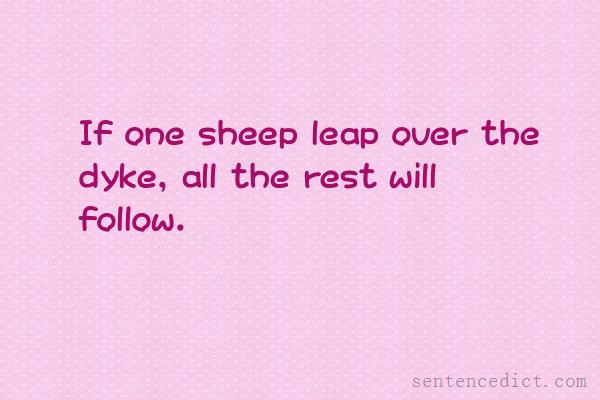Good sentence's beautiful picture_If one sheep leap over the dyke, all the rest will follow.