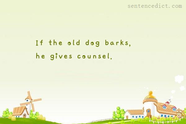 Good sentence's beautiful picture_If the old dog barks, he gives counsel.