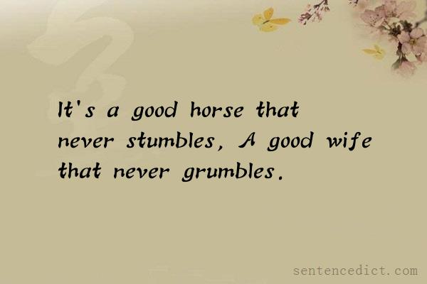 Good sentence's beautiful picture_It's a good horse that never stumbles, A good wife that never grumbles.