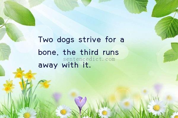 Good sentence's beautiful picture_Two dogs strive for a bone, the third runs away with it.