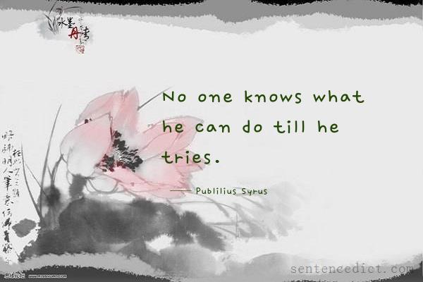 Good sentence's beautiful picture_No one knows what he can do till he tries.