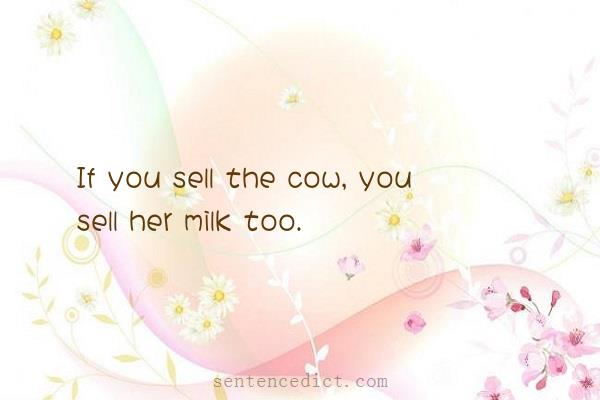 Good sentence's beautiful picture_If you sell the cow, you sell her milk too.
