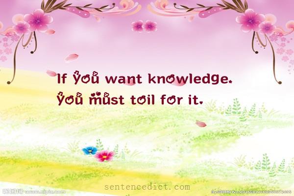 Good sentence's beautiful picture_If you want knowledge, you must toil for it.