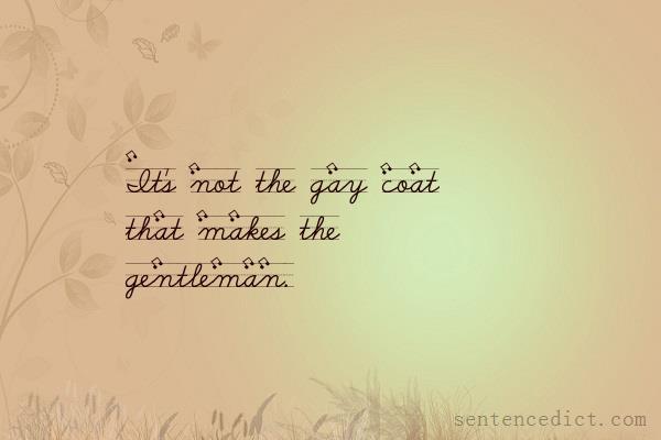 Good sentence's beautiful picture_It's not the gay coat that makes the gentleman.