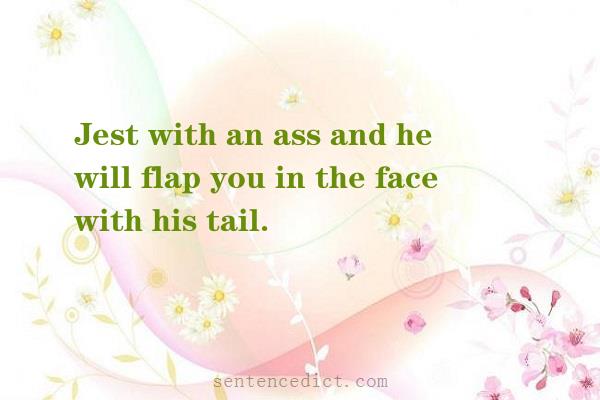 Good sentence's beautiful picture_Jest with an ass and he will flap you in the face with his tail.