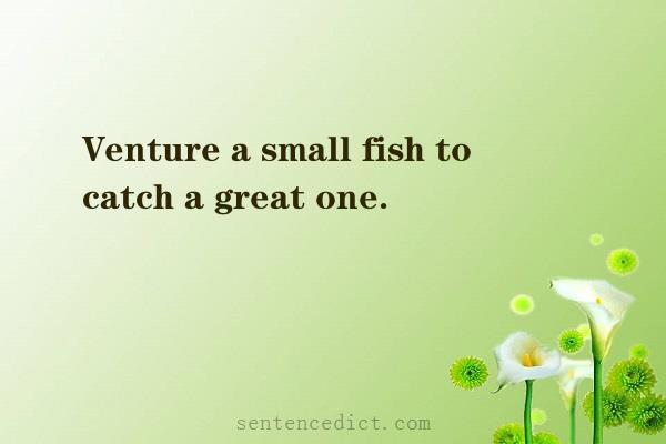 Good sentence's beautiful picture_Venture a small fish to catch a great one.